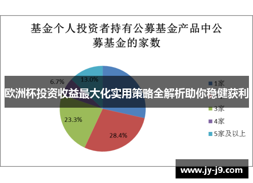 欧洲杯投资收益最大化实用策略全解析助你稳健获利 欧洲杯投资收益最大化实用策略全解析助你稳健获利
