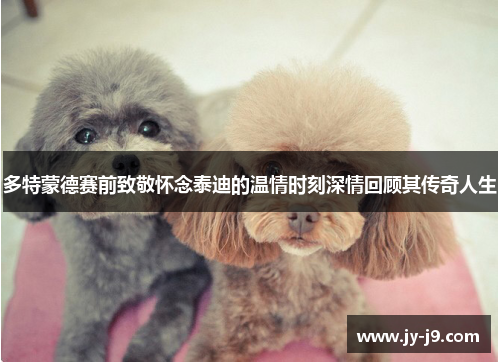 多特蒙德赛前致敬怀念泰迪的温情时刻深情回顾其传奇人生